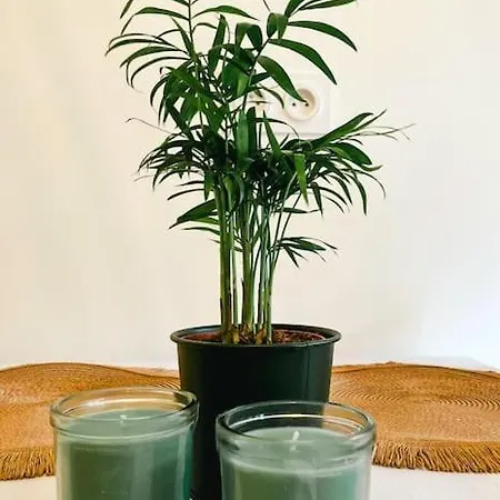 Magnifique T2 Proche Et Refait A Neuf Avec Terrasse * Menton